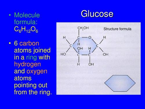 glucose,glucose random是什么意思